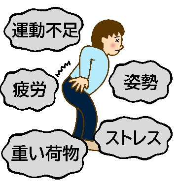 画像の説明 画像の説明